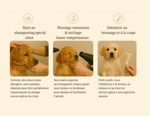 L'ECLAT CANIN Toilettage chiot L’Éclat Canin : soins adaptés au jeune âge et pelage délicat