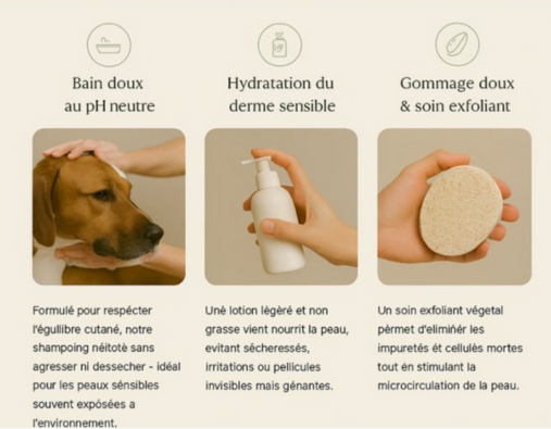Toilettage peaux sensibles pour chiens – soins doux et hypoallergéniques