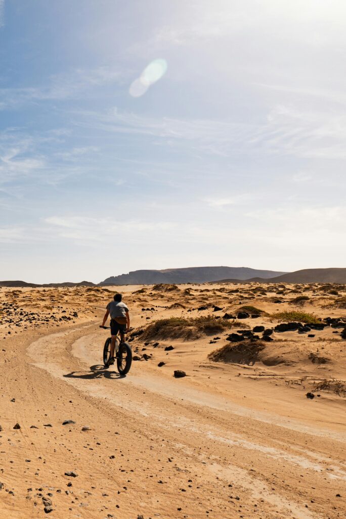 pexels matthiasgroeneveld 20183255